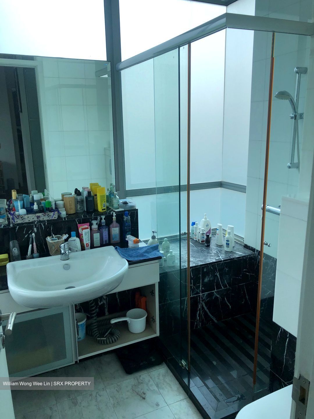 Balmoral Hills (D10), Condominium #554622221